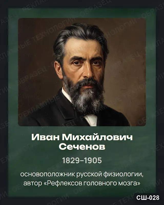 СШ-028 · Иван Михайлович Сеченов
