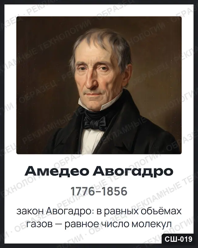 СШ-019 · Амедео Авогадро