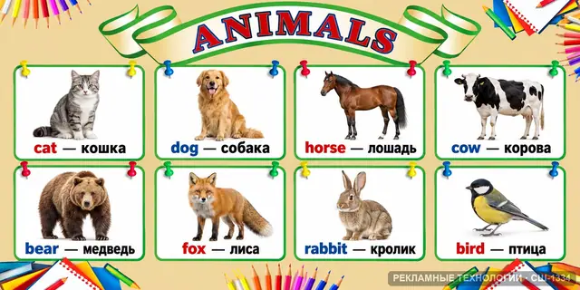 СШ-1334 · Английский — животные
