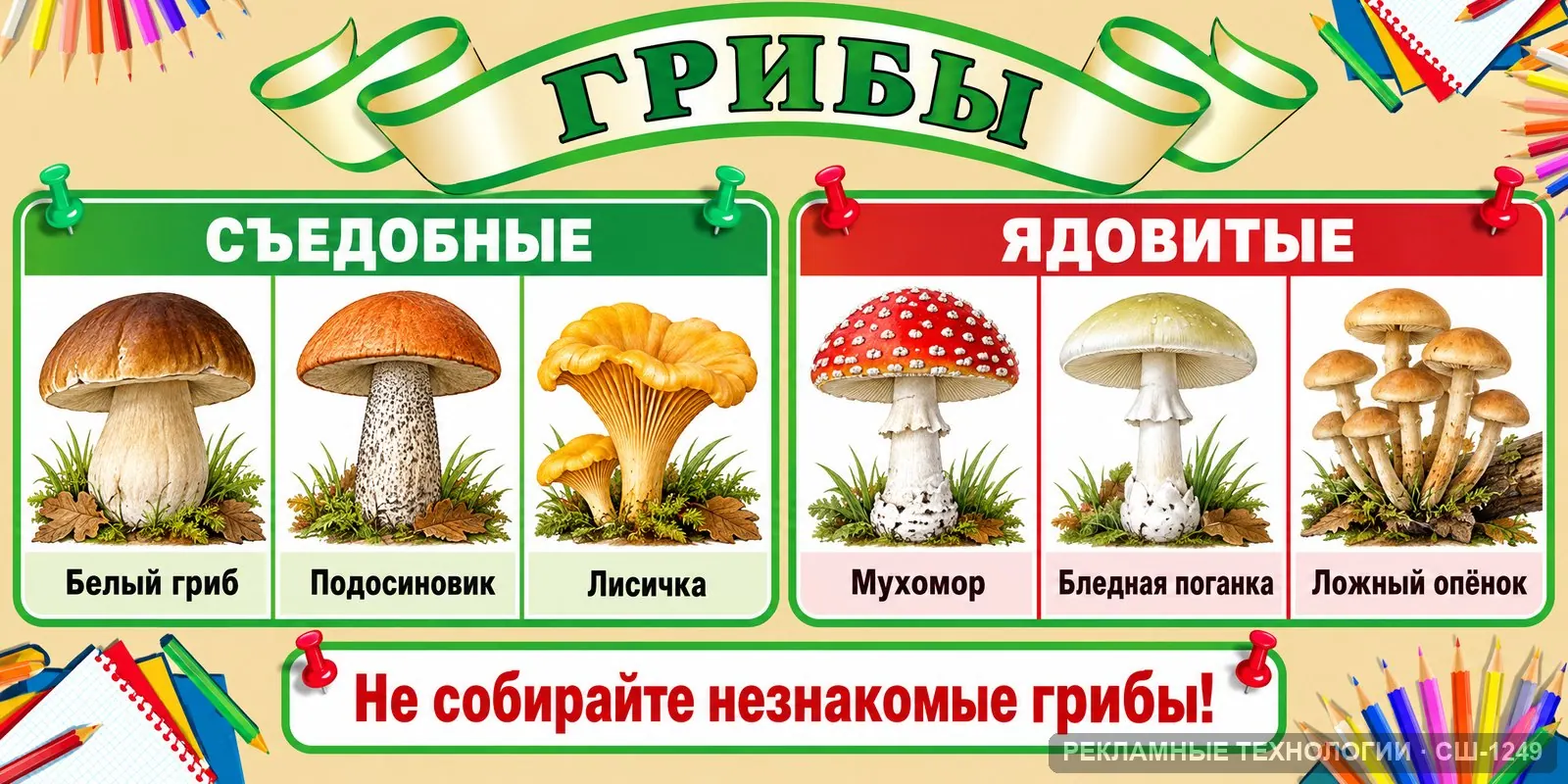 Стенд «Биология — грибы» для школы, СШ-1249