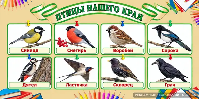 СШ-1266 · Биология — птицы