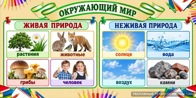 СШ-1288 · Начальная школа — мир вокруг